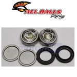 Balls Swing Arm Bearing Kit For 2005-2020 Polaris Phoenix. Fixed Price $39.04.