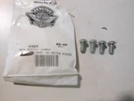 Nos Harley Davidson Hex Socket Screw 4365 Qty. Fixed Price $9.99.