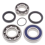 Yamaha Apex Er/gt/ltx/mtx/rtx 2007-2009, Bearing/seal Kit. Fixed Price $79.85.