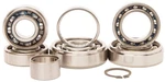Hot Rods Transmission Bearing Kit TBK0024 79-4916 1106-0112 421-3024 871444. Fixed Price $144.35.