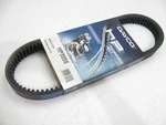 Dayco HP3008 Drive Belt For Cheetah, Cougar, Tigre, EXT550, Jag 440. Fixed Price $49.45.
