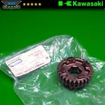 13260-1300 Oem Kawasaki Output Top Gear Transmission 29T Ninja ZX-11 1993-2001. Fixed Price $40.49.