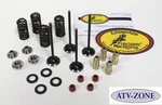 Kibblewhite Diamond Valves With Spring Kit And Guides Rm Z250 2007-2015. Fixed Price $365.85.