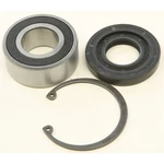 Balls Inner Primary Bearing And Seal Kit 25-3102. Fixed Price $37.99.