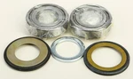 Balls 22-1066 Steering Stem Bearing Kit. Fixed Price $71.37.