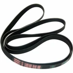 Westland 145707 Clothes Washer/ Dryer Drive Belt For Ariston. Fixed Price $77.79.
