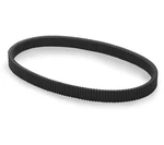 Epi Standard Belt - WE262003. Fixed Price $77.39.