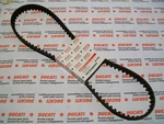 Toothed Belt Distribution Ducati 996 73710061A. Fixed Price $103.43.