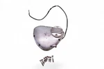 1968 Triumph Bonneville T120R 650 TR6C *2194A Timing Cover. Fixed Price $179.99.