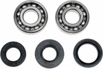 Moose Racing Crank Bearing And Seal Kit A24-1022. Fixed Price $55.79.