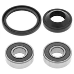 Balls Wheel Bearing And Seal Kit Front 25-1069. Fixed Price $28.71.