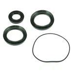 Balls Rear Differential Seal Kit 25-2045-5CL77. Fixed Price $20.26.