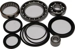 Balls 25-2033 Differential Bearing And Seal Kit Rear. Fixed Price $96.43.