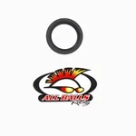 Balls Double Lip Seal 30-5508. Fixed Price $14.10.