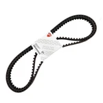 Ducati Cam Timing Belts Set 749 998 Monster S4RS Oem 73740121B Genuine. Fixed Price $197.21.