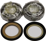 Balls 2018-2020 Dorsoduro 900 Aprilia Steering Bearing/seal Kit 22-1044. Fixed Price $47.50.