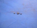 20 Triumph # 57-0394 Clutch Roller Bearings Twins 500 650 750( Set ) PP1224. Fixed Price $12.99.