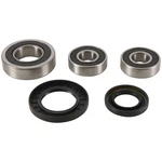 Pivot Works Wheel Bearing Kit Rear PWRWS-S14-000. Fixed Price $60.99.