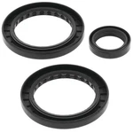 Quadboss Differential Seal Kit Rear For Polaris 25-2056-5. Fixed Price $29.99.