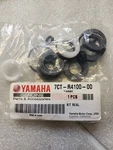 Yamaha Oem 7CT-R4100-00, 7CTR410000 Pump Seal Kit PW4040. Fixed Price $179.99.