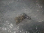 85-09 Kawasaki Shifter Shaft Assembly # 13161-1117 Ninja EX500 Vulcan. Fixed Price $19.95.