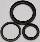 Balls 25-2033-5 Differential Seal Only Kit. Fixed Price $31.26.