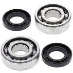 Crankshaft Bearing & Seal Kit, Allballs 24-1035 LT-80. Fixed Price $79.49.
