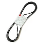 Ducati Cam Timing Belt Set Xdiavel Multistrada 1260 73740341B Genuine. Fixed Price $122.59.