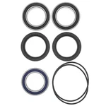 Quadboss Rear Carrier Bearing Upgrade Kit For Kawasaki Stock 25-1620. Fixed Price $80.02.
