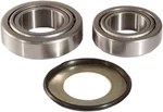Pivot Works PWSSK-H11-000 Steering Stem Bearing Kit. Fixed Price $59.73.