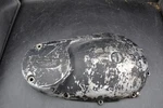 Triumph 650 T120 Bonneville Tiger 1968-72 Engine Primary Cover Oem T2439. Fixed Price $59.95.
