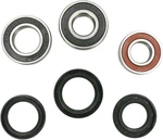 Pivot Works Wheel Bearing Kit Rear PWRWK-G01-001. Fixed Price $55.06.