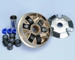 Polini 241.320 Variator Garelli Pony Yamaha Mbk Lem Italjet. Fixed Price $39.70.