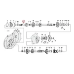 Andrews Clutch Gear, Main Transmission Shaft. 17T L79-E.... Fixed Price $623.04.