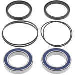 Quadboss 85-86 Honda ATC250R Rear Atv Wheel Bearing & Seal Kit. Fixed Price $54.08.