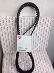 Timing Belts Ducati Multistrada 950 V2 - 73740251B Toothed. Fixed Price $178.51.