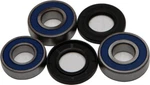 Balls Wheel Bearing And Seal Kit Rear 25-1262. Fixed Price $22.85.
