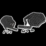 Parts Unlimited-chain T428-102 Pu 428X102. Fixed Price $26.75.