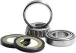 Pivot Works Steering Stem Bearing Kit #PWSSK-HD01-000 Harley Davidson. Fixed Price $41.32.