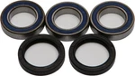 Balls Wheel Bearing And Seal Kits Rear 25-1406AB. Fixed Price $36.62.
