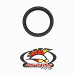 Fits 1999 Polaris Magnum 500 4X4 Seal Balls 31-3201. Fixed Price $19.78.