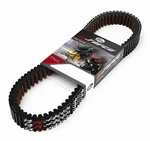 Gates 19G3982 Belt Drive G-force Workhorse. Fixed Price $80.50.