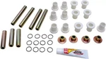 Pivot Works A-arm Bearing Kit Lower Polaris Rzr 800 52-1161LR PWAAK-P09-000L. Fixed Price $94.54.