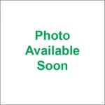 D.i.d. Rivet Connecting Link For Super Street X-ring Chain ZJ520ZVMXS. Fixed Price $26.99.