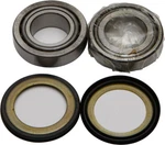 Balls 22-1005 Steering Stem Bearing Kit. Fixed Price $55.58.