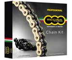 Regina Chain 420RH2 And Sprocket Kit 124RH2/106KHO036 1230-1177. Fixed Price $79.99.