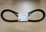 Genuine Ducati Spare Parts Cam Timing Belt Set, 748 ST4S Monster S4R. Fixed Price $200.03.