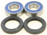 Balls Wheel Bearing & Seal Kit Rear #25-1738 Can-am. Fixed Price $35.67.