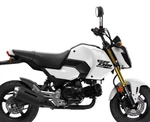 Honda MSX125 Grom 2024 Adjuster, Chain 40543-K26-G00. Fixed Price $37.00.