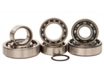 Hot Rods Transmission Bearing Kit TBK0050 79-4937 1106-0133 421-3050 871465. Fixed Price $151.95.